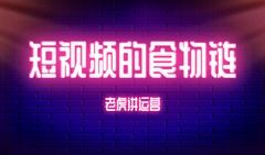 食物链视频,探寻生态系统中能量流转的奇妙旅程
